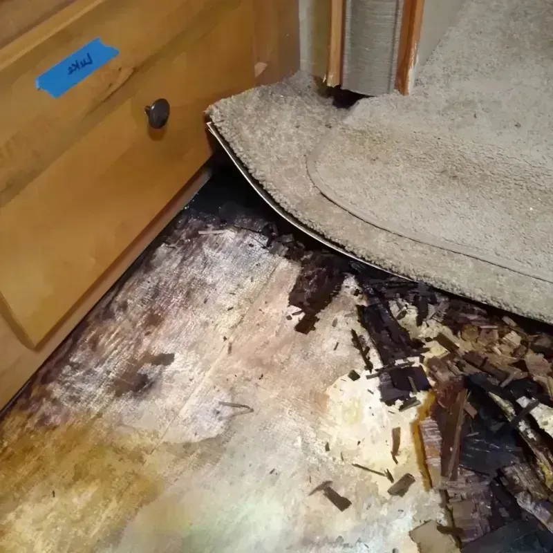 Wood Floor Water Damage in Skagit County, WA